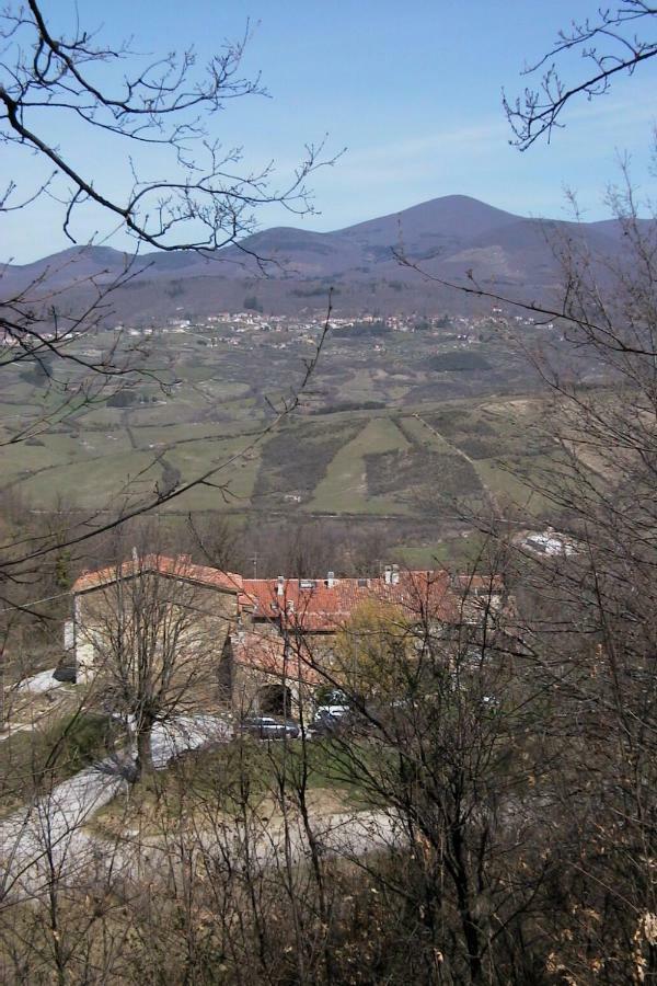Danti La Giara